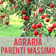 AGRARIA PARENTI MASSIMO